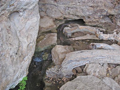 2007-11-20.montezuma_well.28.verde_valley.az.us 