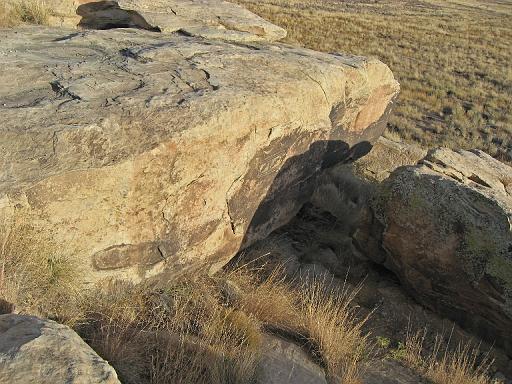 2007-11-18.petroglyphs.newspaper_rock.petrified_forest.03.holbrook.az.us 