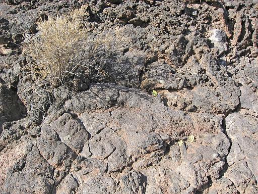 2007-11-18.volcanic_area.sunset_crater.12.flagstaff.az.us 