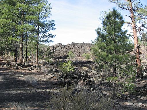 2007-11-18.volcanic_area.sunset_crater.14.flagstaff.az.us 