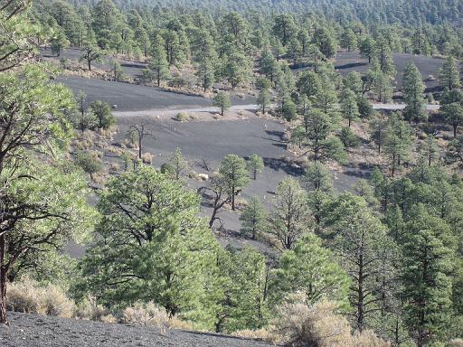 2007-11-18.volcanic_cinder_hills_overlook.sunset_crater.07.flagstaff.az.us 