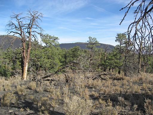 2007-11-18.volcanic_cinder_hills_overlook.sunset_crater.10.flagstaff.az.us 