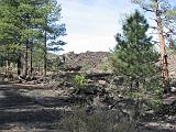 2007-11-18.volcanic_area.sunset_crater.14.flagstaff.az.us.jpg