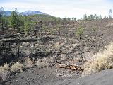 2007-11-18.volcanic_area.sunset_crater.16.flagstaff.az.us.jpg