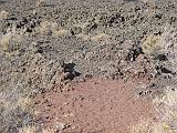 2007-11-18.volcanic_area.sunset_crater.22.flagstaff.az.us.jpg