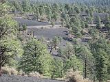 2007-11-18.volcanic_cinder_hills_overlook.sunset_crater.07.flagstaff.az.us.jpg