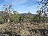 2007-11-18.volcanic_cinder_hills_overlook.sunset_crater.10.flagstaff.az.us.jpg