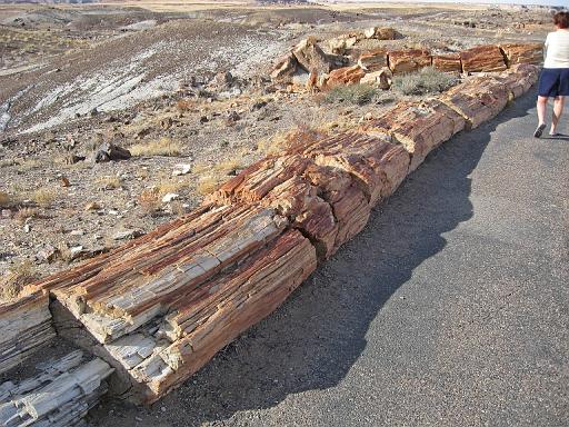 2007-11-18.crystal_forest.petrified_forest_badlands.13.holbrook.az.us 