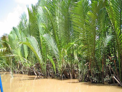 2004-07-05.mekong_delta.canal_medium.2.my_tho.vn 