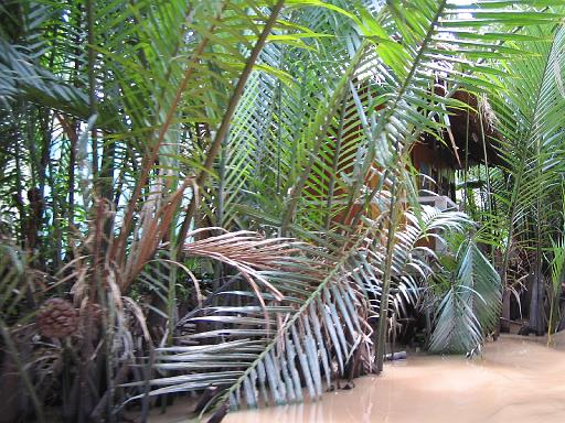 2004-07-05.mekong_delta.canal_medium.house.1.fav.my_tho.vn 