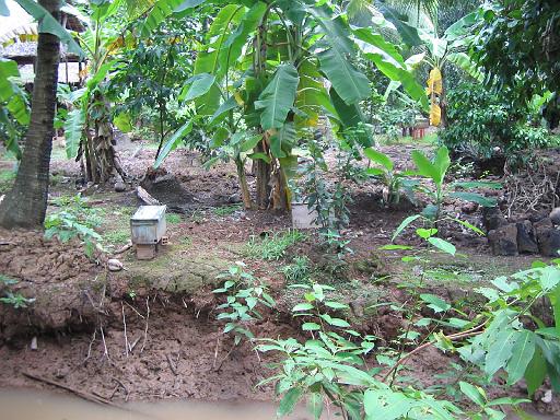2004-07-05.mekong_delta.farm.bees.my_tho.vn 