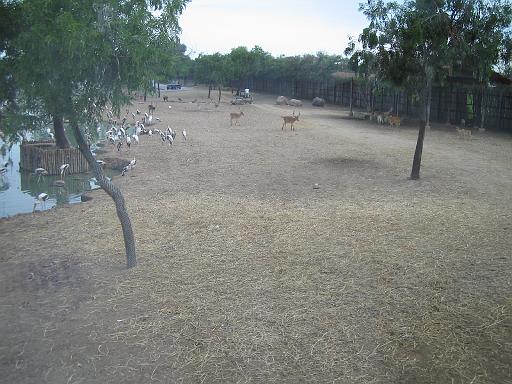 2004-07-09.safari_world.birds-herbivores.1.bangkok.th 