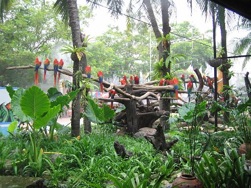 2004-07-09.safari_world.macaws.1.bangkok.th 