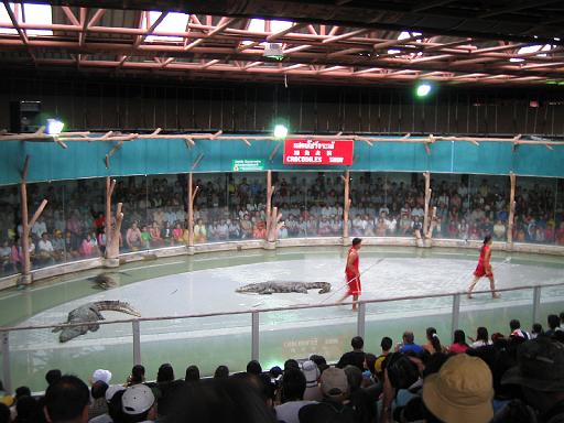 2004-07-11.sriracha_tiger_zoo.croc_show.4.chon_buri.th 