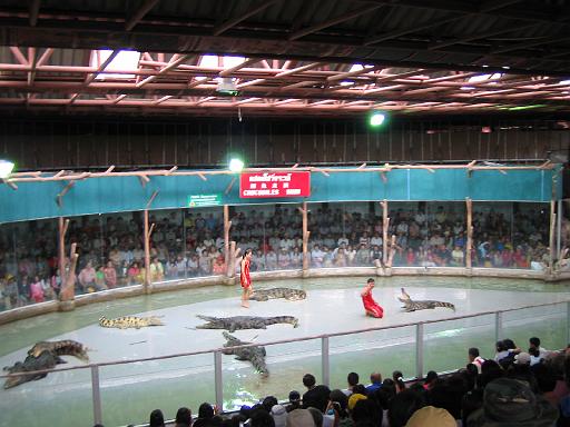 2004-07-11.sriracha_tiger_zoo.croc_show.9.chon_buri.th 
