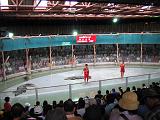 2004-07-11.sriracha_tiger_zoo.croc_show.3.chon_buri.th.jpg