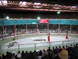 2004-07-11.sriracha_tiger_zoo.croc_show.4.chon_buri.th.jpg
