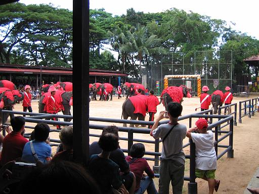 2004-07-10.tropical_gardens.elephant_show.1.nong_nooch.th 