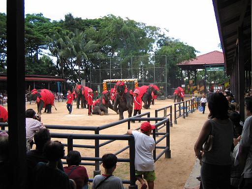 2004-07-10.tropical_gardens.elephant_show.4.fav.nong_nooch.th 