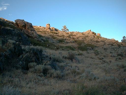 2000-09-03.rock.2.mule_deer.flying_x_ranch.wheatland.wy.us 