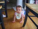 Seren is now crawling